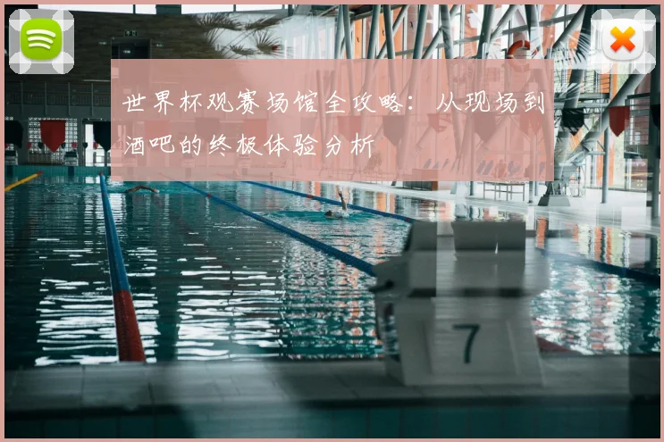 世界杯观赛场馆全攻略：从现场到酒吧的终极体验分析