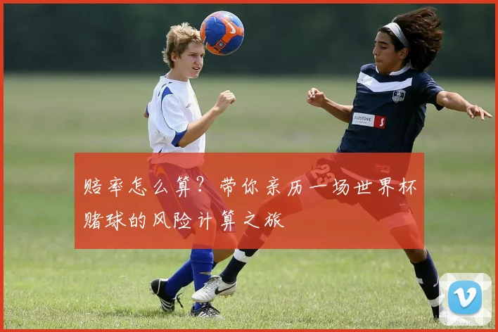 赔率怎么算？带你亲历一场世界杯赌球的风险计算之旅